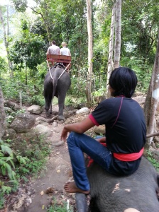 the elephant trekking trail