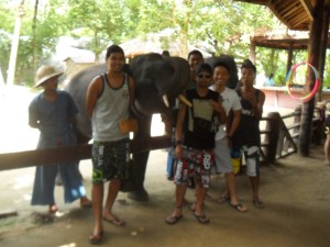 Us with the talented elephants!